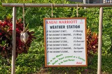 Coconut Weather Station - Hawaiian Humor.jpg