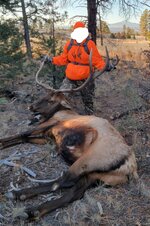 Screenshot_20240103_001459_Photo Editor.jpg