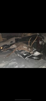 1765537322451.jpeg 1765537322451.jpeg