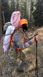 IMG_2247.jpeg IMG_2247.jpeg