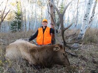 IMG_5812.jpeg IMG_5812.jpeg