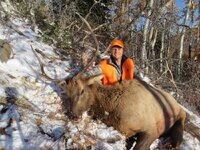 IMG_0909.jpeg IMG_0909.jpeg