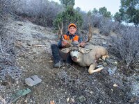 IMG_5447.jpeg IMG_5447.jpeg