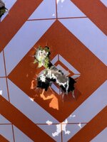 IMG_3139.jpeg IMG_3139.jpeg