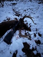 IMG_1272.jpeg IMG_1272.jpeg