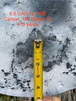 IMG_4427.jpeg IMG_4427.jpeg