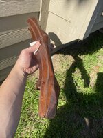 IMG_8864.jpeg IMG_8864.jpeg