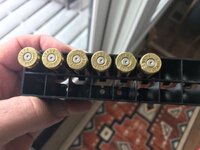 IMG_1896.jpeg IMG_1896.jpeg