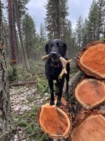 IMG_9569.jpeg IMG_9569.jpeg