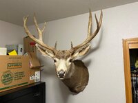 IMG_2427.jpeg IMG_2427.jpeg