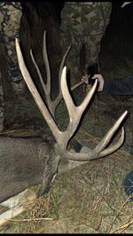 IMG_5197.jpeg IMG_5197.jpeg