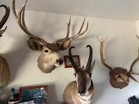 IMG_4724.jpeg IMG_4724.jpeg