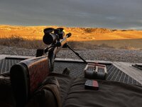 IMG_1089.jpeg IMG_1089.jpeg