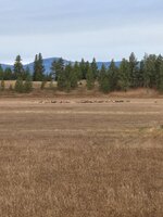 20251025_091052.jpg 20251025_091052.jpg