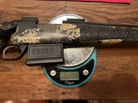 IMG_5501.jpeg IMG_5501.jpeg