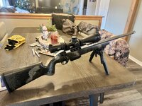 IMG_9052.jpeg IMG_9052.jpeg