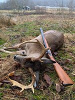 IMG_0484.jpeg IMG_0484.jpeg