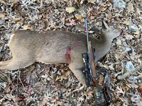 IMG_5074.jpeg IMG_5074.jpeg