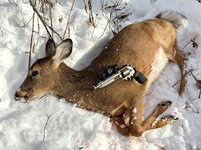 IMG_3573.jpeg IMG_3573.jpeg