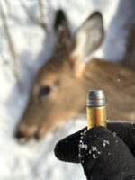 IMG_3587.jpeg IMG_3587.jpeg