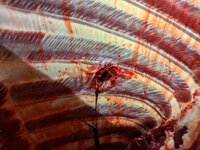 PXL_20251123_230305419.jpg PXL_20251123_230305419.jpg