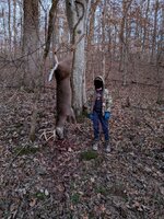 PXL_20251123_224715048~2.jpg PXL_20251123_224715048~2.jpg