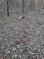 PXL_20251123_215126755.jpg PXL_20251123_215126755.jpg