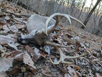 PXL_20251123_220526977.jpg PXL_20251123_220526977.jpg