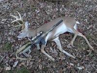 PXL_20251123_215755766.jpg PXL_20251123_215755766.jpg