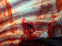 PXL_20251123_230313671.jpg PXL_20251123_230313671.jpg