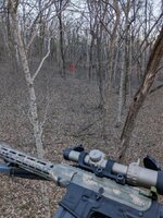 PXL_20251123_214004058~2.jpg PXL_20251123_214004058~2.jpg