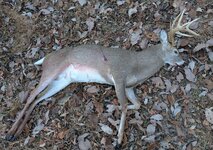 PXL_20251123_220409415.jpg PXL_20251123_220409415.jpg