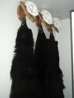 IMG_1037.jpeg IMG_1037.jpeg