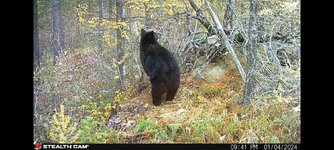 Screenshot_20251214_194547_Gallery.jpg Screenshot_20251214_194547_Gallery.jpg