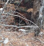 20251214_104035.jpg 20251214_104035.jpg