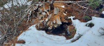 20251214_104619.jpg 20251214_104619.jpg