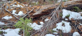 20251214_104846.jpg 20251214_104846.jpg