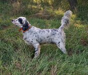 5600279064555921748.jpeg 5600279064555921748.jpeg