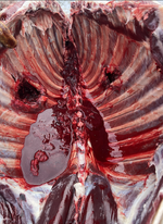 Screenshot 2025-12-15 at 9.38.44 AM.png