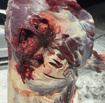 Screenshot 2025-12-15 at 9.45.21 AM.png