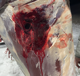 Screenshot 2025-12-15 at 9.46.30 AM.png