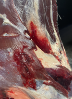 Screenshot 2025-12-15 at 9.47.21 AM.png