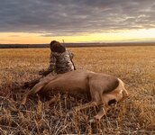 IMG_5078.jpeg IMG_5078.jpeg