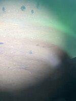 IMG_4184.jpeg IMG_4184.jpeg