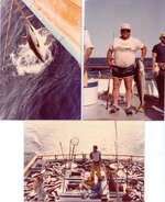 Qualifier 105 picts.jpg