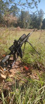 IMG_20251109_114950618.jpg IMG_20251109_114950618.jpg