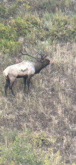 IMG_1914.png IMG_1914.png