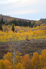 IMG_1641.jpeg IMG_1641.jpeg