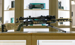 1765914732246.png 1765914732246.png