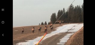 Screenshot_20231213-200946_Messages.jpg Screenshot_20231213-200946_Messages.jpg